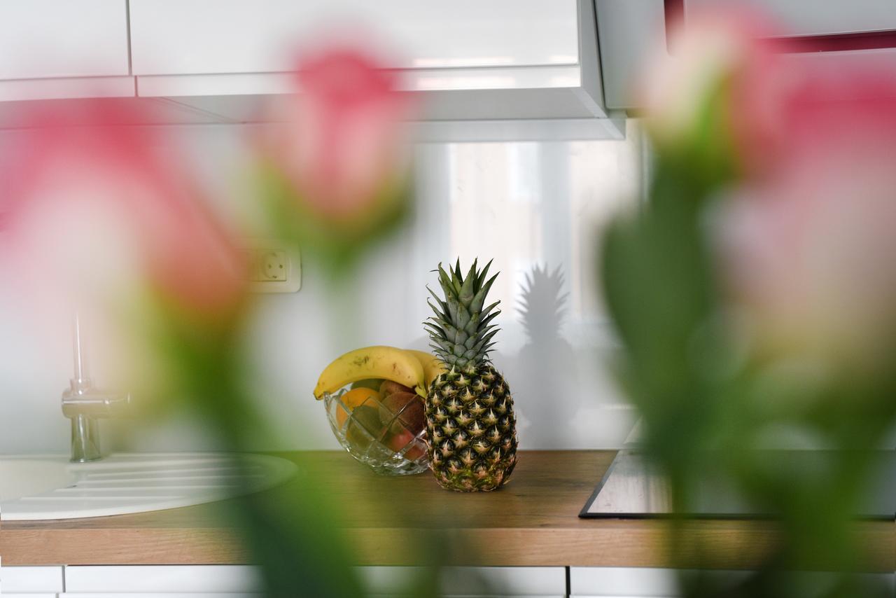 Apartment Lant *